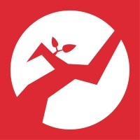 Solo Branch Studio Logo